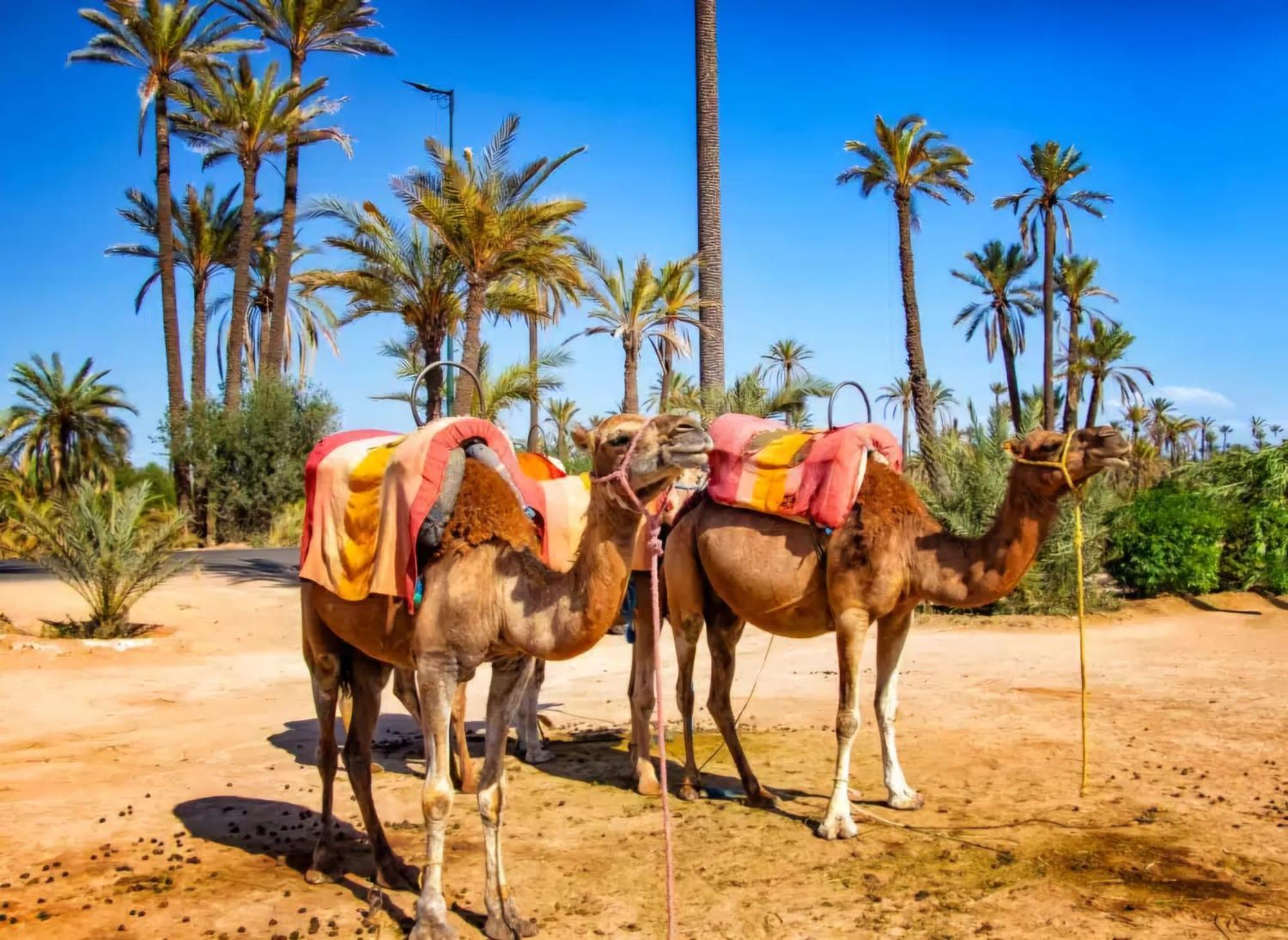 La Perle De L'Atlas By Golf Resort Marrakesch Exterior foto